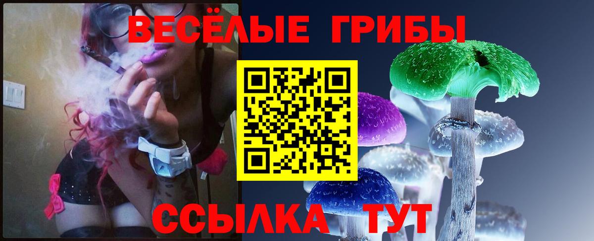 купить наркотик  Галлюциногенные грибы Psilocybe  Вход с VPN  Губкин 
