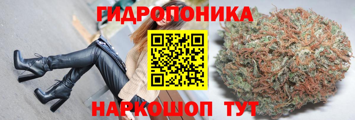 Канабис марихуана Губкин